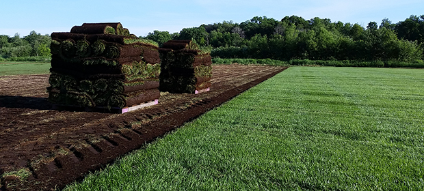 Sod And Turf Supplier In Minnesota